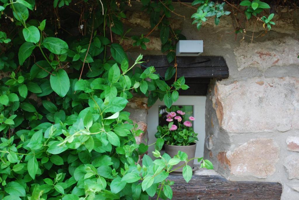 B&B Le Lodge Bourgheim Exteriör bild
